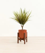 Charger l'image dans la galerie, Glossy Red stand:dark