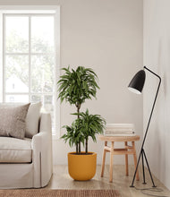 Load image into Gallery viewer, Sunset Orange