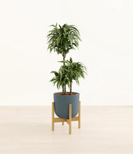 Load image into Gallery viewer, Iron Gray stand:bamboo