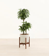 Load image into Gallery viewer, Natural Bamboo stand:walnut