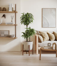 Load image into Gallery viewer, Natural Bamboo stand:walnut