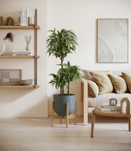 Load image into Gallery viewer, Iron Gray stand:bamboo