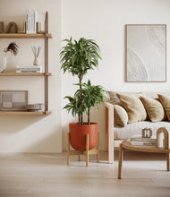 Load image into Gallery viewer, Earth Red stand:bamboo