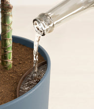 Load image into Gallery viewer, Iron Gray stand:all