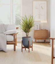 Load image into Gallery viewer, Iron Gray stand:walnut