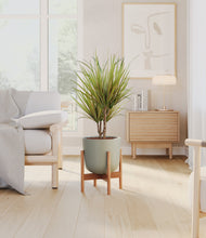 Load image into Gallery viewer, Sage Green stand:bamboo