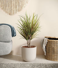 Load image into Gallery viewer, Natural Bamboo