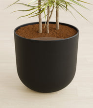 Load image into Gallery viewer, Stone Black stand:all
