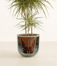 Load image into Gallery viewer, Sage Green stand:all