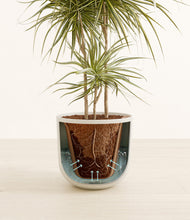 Load image into Gallery viewer, Natural Bamboo stand:all