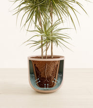 Load image into Gallery viewer, Sandy Pink stand:all