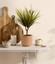 Charger l'image dans la galerie, Striped Peach Pink