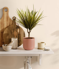 Charger l'image dans la galerie, Striped Rose Pink