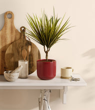Charger l'image dans la galerie, Striped Cherry Red