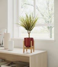 Charger l'image dans la galerie, Striped Cherry Red stand:light