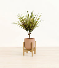Charger l'image dans la galerie, Striped Peach Pink stand:light