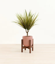 Charger l'image dans la galerie, Striped Rose Pink stand:dark