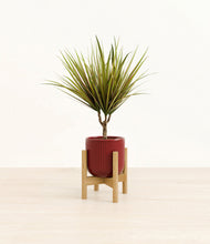 Charger l'image dans la galerie, Striped Cherry Red stand:light