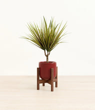 Charger l'image dans la galerie, Striped Cherry Red stand:dark