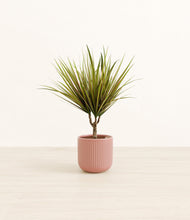 Charger l'image dans la galerie, Striped Rose Pink