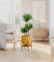 Load image into Gallery viewer, Sunset Orange stand:bamboo