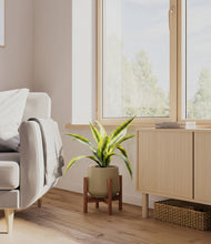 Lade das Bild in den Galerie-Viewer, Olive stand:walnut