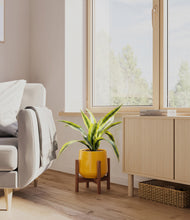 Lade das Bild in den Galerie-Viewer, Mustard stand:walnut