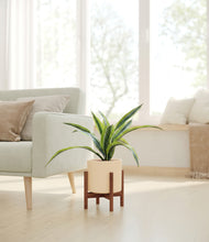 Lade das Bild in den Galerie-Viewer, Cream stand:walnut