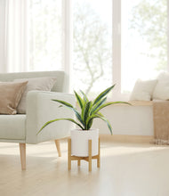 Lade das Bild in den Galerie-Viewer, White stand:bamboo