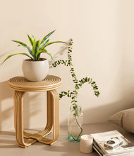 Lade das Bild in den Galerie-Viewer, Shiny EggWhite