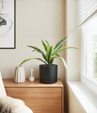Lade das Bild in den Galerie-Viewer, Black