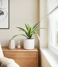 Lade das Bild in den Galerie-Viewer, White