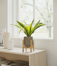 Load image into Gallery viewer, Olive stand:bamboo