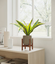 Load image into Gallery viewer, Olive stand:walnut