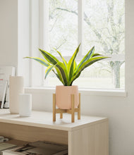 Load image into Gallery viewer, Gentle Pink stand:bamboo