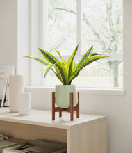 Load image into Gallery viewer, Turquoise stand:walnut