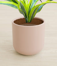 Load image into Gallery viewer, Sandy Pink stand:all