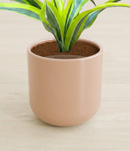 Load image into Gallery viewer, Glossy Pink stand:all