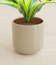 Load image into Gallery viewer, Sage Green stand:all