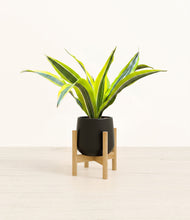 Load image into Gallery viewer, Black stand:bamboo