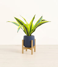 Load image into Gallery viewer, Deep Navy stand:bamboo