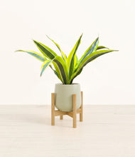 Load image into Gallery viewer, Turquoise stand:bamboo