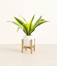Load image into Gallery viewer, White stand:bamboo