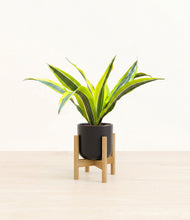 Load image into Gallery viewer, Stone Black stand:bamboo