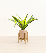 Load image into Gallery viewer, Glossy Pink stand:bamboo