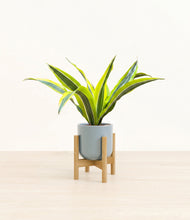 Load image into Gallery viewer, Misty Blue stand:bamboo