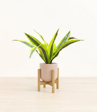 Load image into Gallery viewer, Sandy Pink stand:bamboo