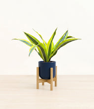 Load image into Gallery viewer, Twilight Blue stand:bamboo