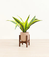 Load image into Gallery viewer, Glossy Pink stand:walnut