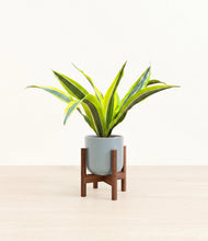 Load image into Gallery viewer, Misty Blue stand:walnut